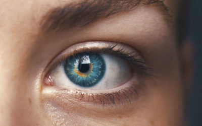 Watched by the Web: Surveillance Is Reborn